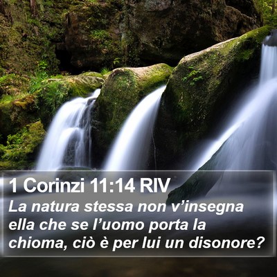 1 Corinzi 11:14 RIV Bible Verse Image