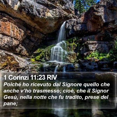 1 Corinzi 11:23 RIV Bible Verse Image