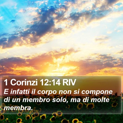 1 Corinzi 12:14 RIV Bible Verse Image