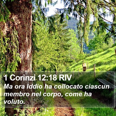 1 Corinzi 12:18 RIV Bible Verse Image