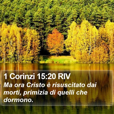 1 Corinzi 15:20 RIV Bible Verse Image