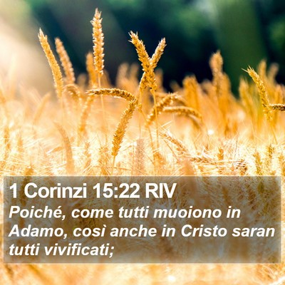 1 Corinzi 15:22 RIV Bible Verse Image