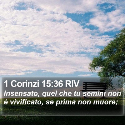1 Corinzi 15:36 RIV Bible Verse Image