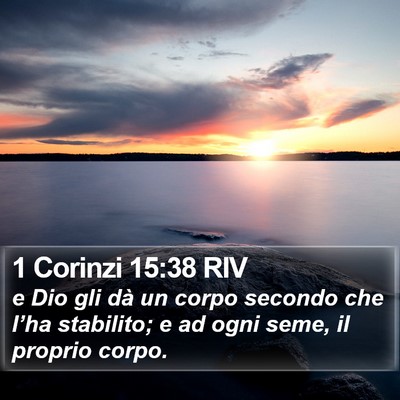 1 Corinzi 15:38 RIV Bible Verse Image