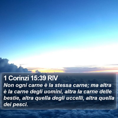 1 Corinzi 15:39 RIV Bible Verse Image