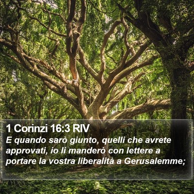 1 Corinzi 16:3 RIV Bible Verse Image