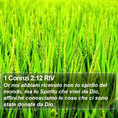 1 Corinzi 2:12 RIV Bible Verse Image
