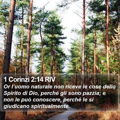 1 Corinzi 2:14 RIV Bible Verse Image