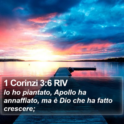 1 Corinzi 3:6 RIV Bible Verse Image