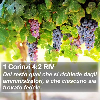 1 Corinzi 4:2 RIV Bible Verse Image