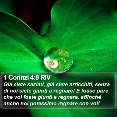1 Corinzi 4:8 RIV Bible Verse Image