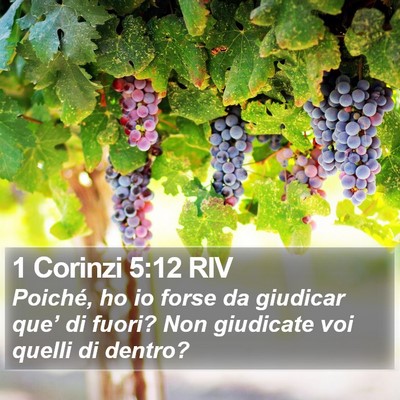 1 Corinzi 5:12 RIV Bible Verse Image