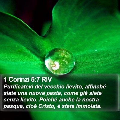 1 Corinzi 5:7 RIV Bible Verse Image