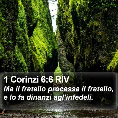 1 Corinzi 6:6 RIV Bible Verse Image