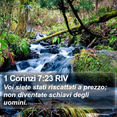 1 Corinzi 7:23 RIV Bible Verse Image