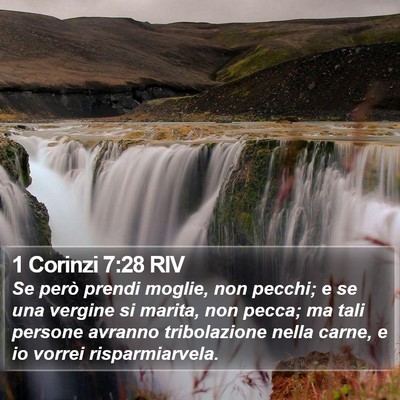 1 Corinzi 7:28 RIV Bible Verse Image