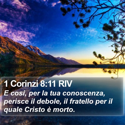 1 Corinzi 8:11 RIV Bible Verse Image