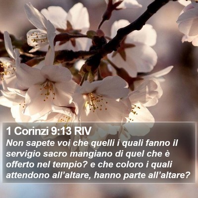 1 Corinzi 9:13 RIV Bible Verse Image