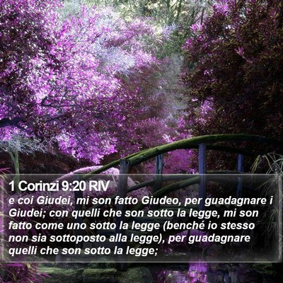 1 Corinzi 9:20 RIV Bible Verse Image