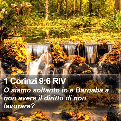 1 Corinzi 9:6 RIV Bible Verse Image