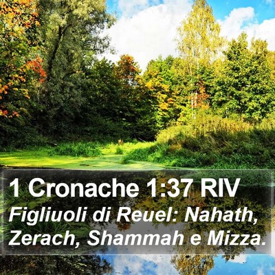 1 Cronache 1:37 RIV Bible Verse Image