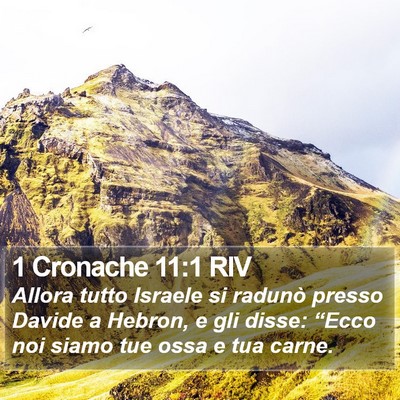 1 Cronache 11:1 RIV Bible Verse Image