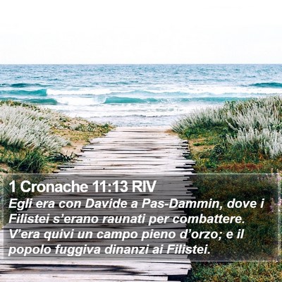 1 Cronache 11:13 RIV Bible Verse Image