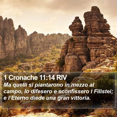 1 Cronache 11:14 RIV Bible Verse Image