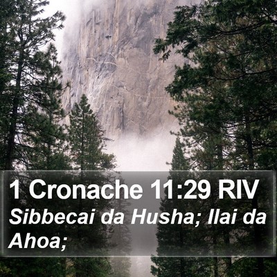 1 Cronache 11:29 RIV Bible Verse Image