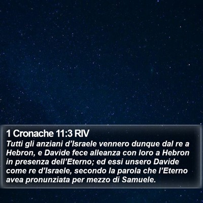 1 Cronache 11:3 RIV Bible Verse Image