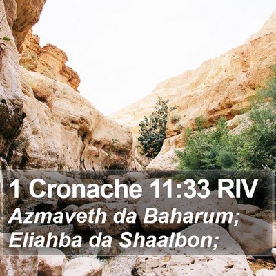 1 Cronache 11:33 RIV Bible Verse Image