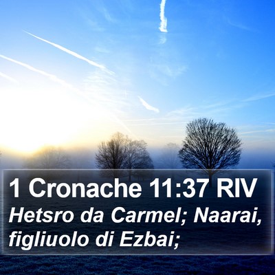 1 Cronache 11:37 RIV Bible Verse Image