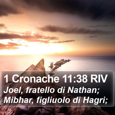 1 Cronache 11:38 RIV Bible Verse Image