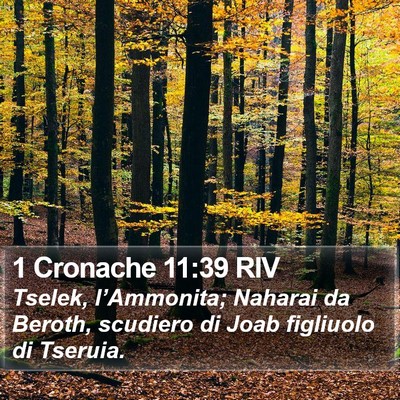 1 Cronache 11:39 RIV Bible Verse Image