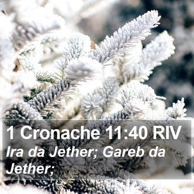 1 Cronache 11:40 RIV Bible Verse Image