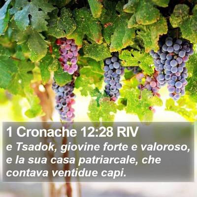 1 Cronache 12:28 RIV Bible Verse Image