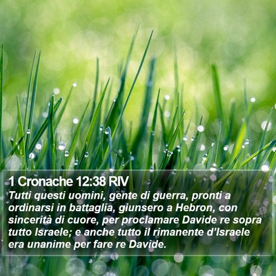 1 Cronache 12:38 RIV Bible Verse Image