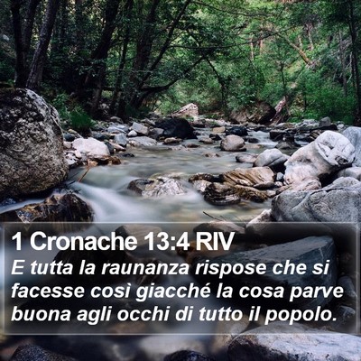 1 Cronache 13:4 RIV Bible Verse Image