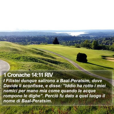 1 Cronache 14:11 RIV Bible Verse Image
