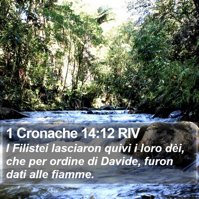 1 Cronache 14:12 RIV Bible Verse Image