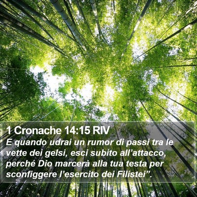 1 Cronache 14:15 RIV Bible Verse Image