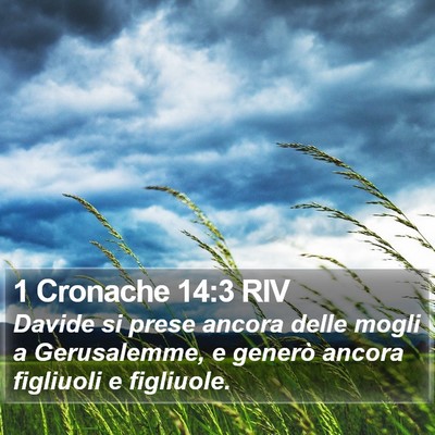 1 Cronache 14:3 RIV Bible Verse Image