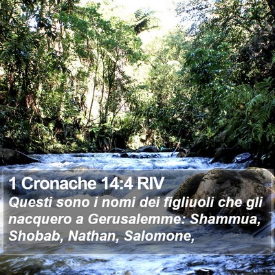 1 Cronache 14:4 RIV Bible Verse Image