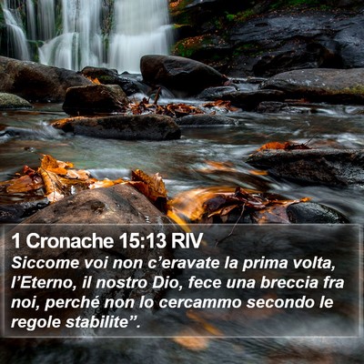 1 Cronache 15:13 RIV Bible Verse Image
