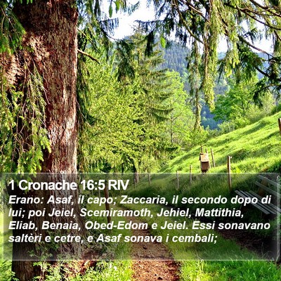 1 Cronache 16:5 RIV Bible Verse Image