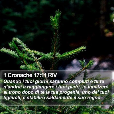 1 Cronache 17:11 RIV Bible Verse Image