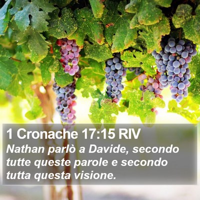 1 Cronache 17:15 RIV Bible Verse Image