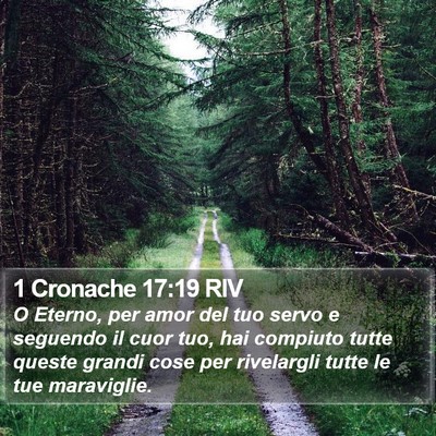 1 Cronache 17:19 RIV Bible Verse Image