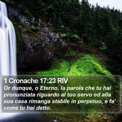 1 Cronache 17:23 RIV Bible Verse Image