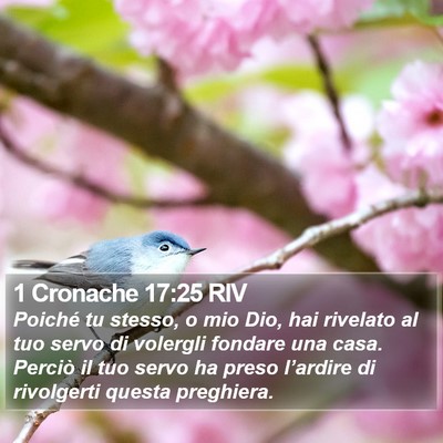 1 Cronache 17:25 RIV Bible Verse Image